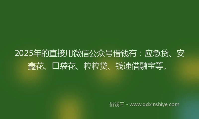 2025年的直接用微信公众号借钱有：应急贷、安鑫花、口袋花、粒粒贷、钱速借融宝等。