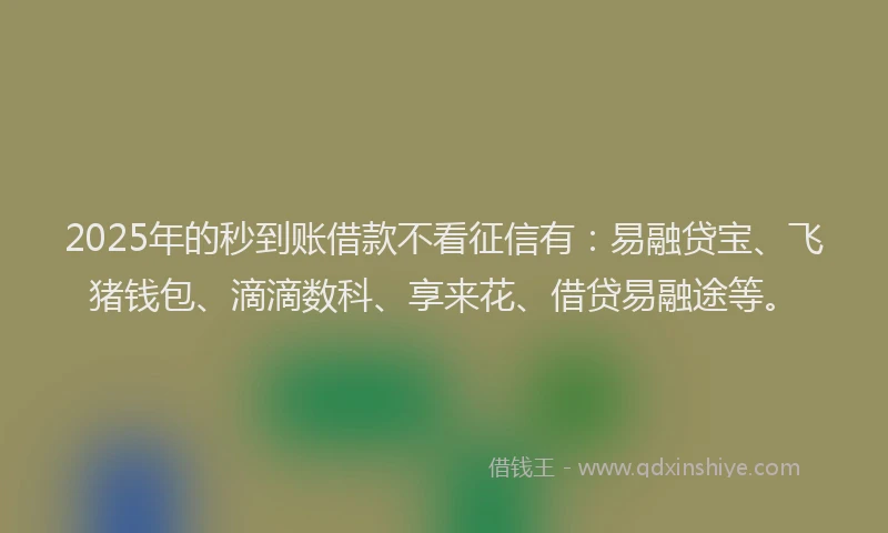 2025年的秒到账借款不看征信有：易融贷宝、飞猪钱包、滴滴数科、享来花、借贷易融途等。