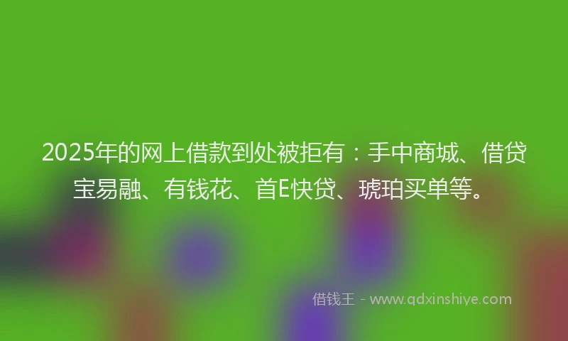 2025年的网上借款到处被拒有：手中商城、借贷宝易融、有钱花、首E快贷、琥珀买单等。