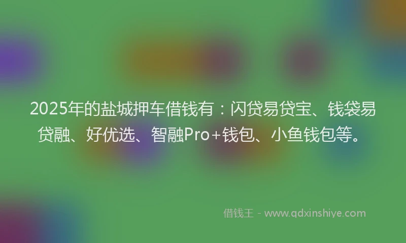 2025年的盐城押车借钱有：闪贷易贷宝、钱袋易贷融、好优选、智融Pro+钱包、小鱼钱包等。