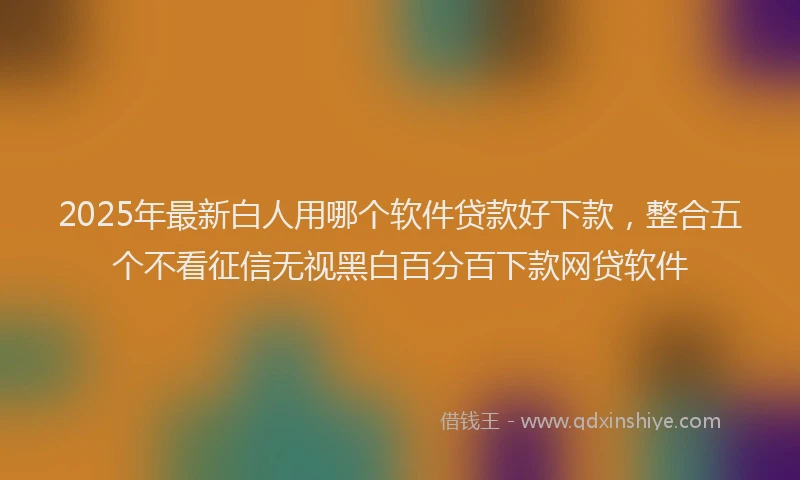 2025年最新白人用哪个软件贷款好下款，整合五个不看征信无视黑白百分百下款网贷软件