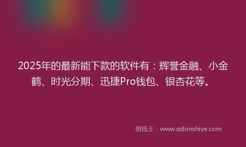 2025年的最新能下款的软件有：辉誉金融、小金鹤、时光分期、迅捷Pro钱包、银杏花等。