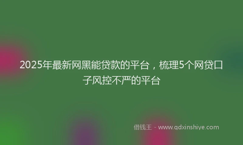 2025年最新网黑能贷款的平台，梳理5个网贷口子风控不严的平台