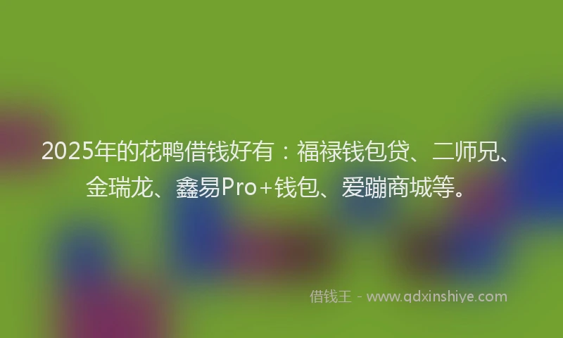 2025年的花鸭借钱好有:福禄钱包贷、二师兄、金瑞龙、鑫易Pro+钱包、爱蹦商城等。
