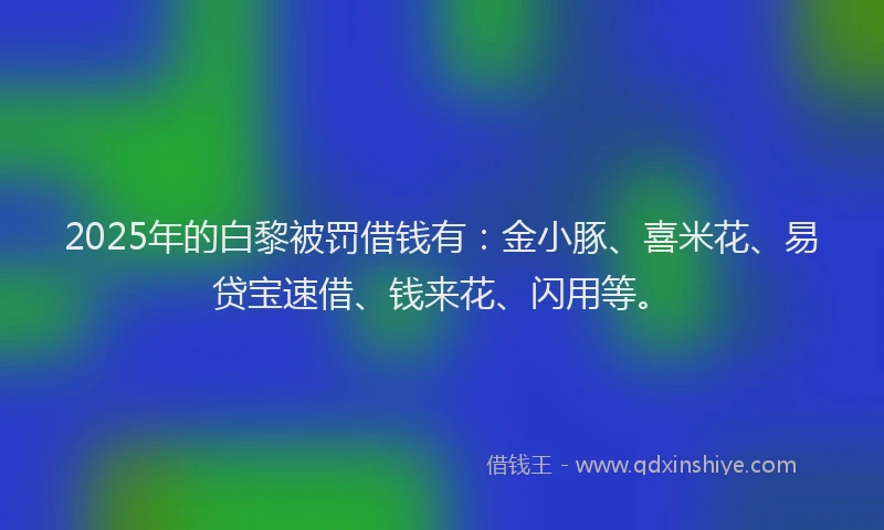 2025年的白黎被罚借钱有：金小豚、喜米花、易贷宝速借、钱来花、闪用等。