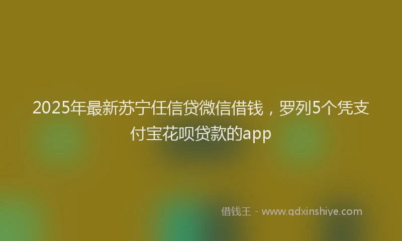 2025年最新苏宁任信贷微信借钱，罗列5个凭支付宝花呗贷款的app