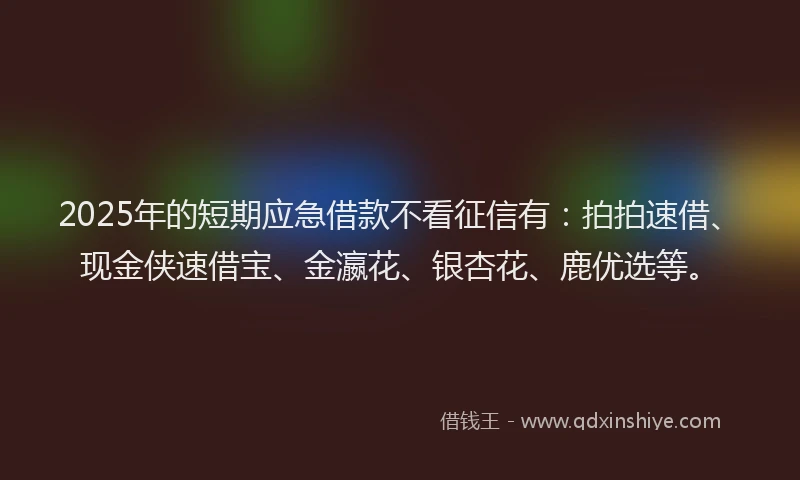 2025年的短期应急借款不看征信有：拍拍速借、现金侠速借宝、金瀛花、银杏花、鹿优选等。