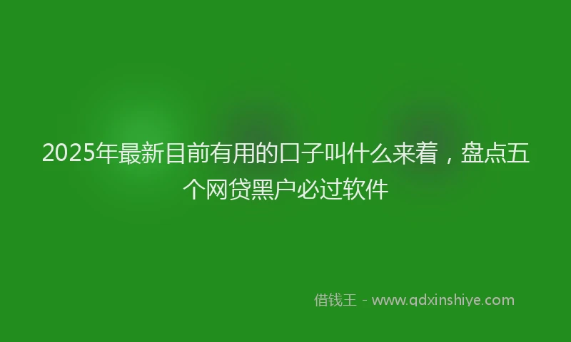 2025年最新目前有用的口子叫什么来着，盘点五个网贷黑户必过软件