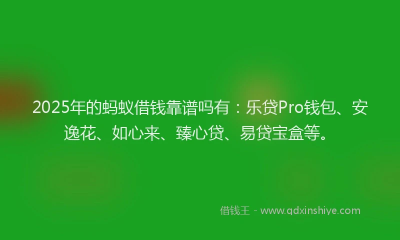 2025年的蚂蚁借钱靠谱吗有：乐贷Pro钱包、安逸花、如心来、臻心贷、易贷宝盒等。
