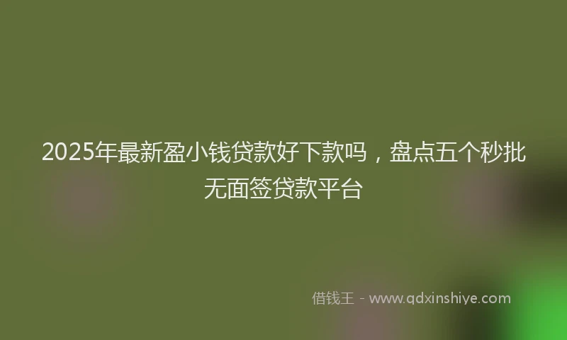 2025年最新盈小钱贷款好下款吗，盘点五个秒批无面签贷款平台