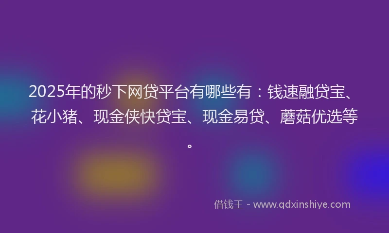 2025年的秒下网贷平台有哪些有：钱速融贷宝、花小猪、现金侠快贷宝、现金易贷、蘑菇优选等。