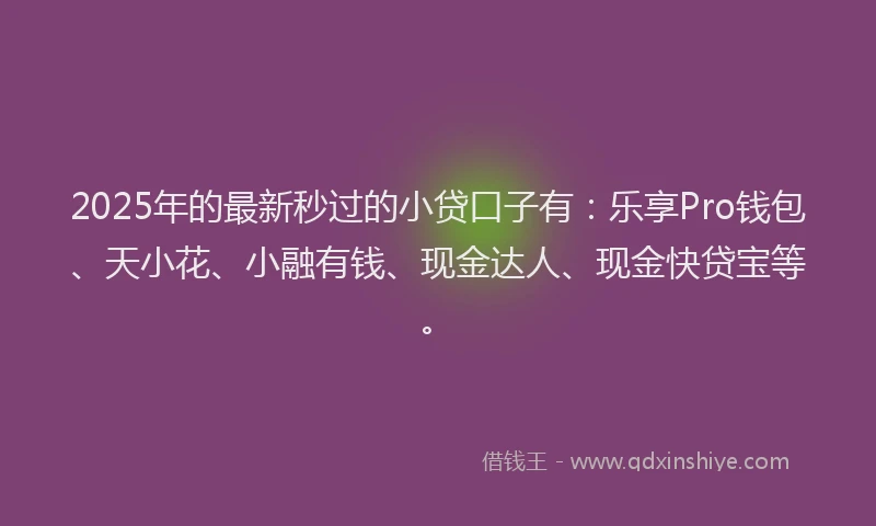 2025年的最新秒过的小贷口子有：乐享Pro钱包、天小花、小融有钱、现金达人、现金快贷宝等。