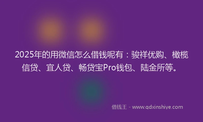 2025年的用微信怎么借钱呢有：骏祥优购、橄榄信贷、宜人贷、畅贷宝Pro钱包、陆金所等。