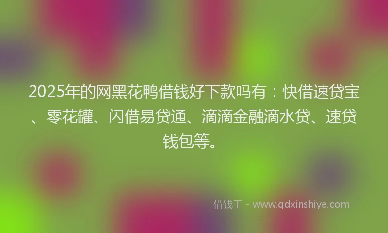 2025年的网黑花鸭借钱好下款吗有：快借速贷宝、零花罐、闪借易贷通、滴滴金融滴水贷、速贷钱包等。
