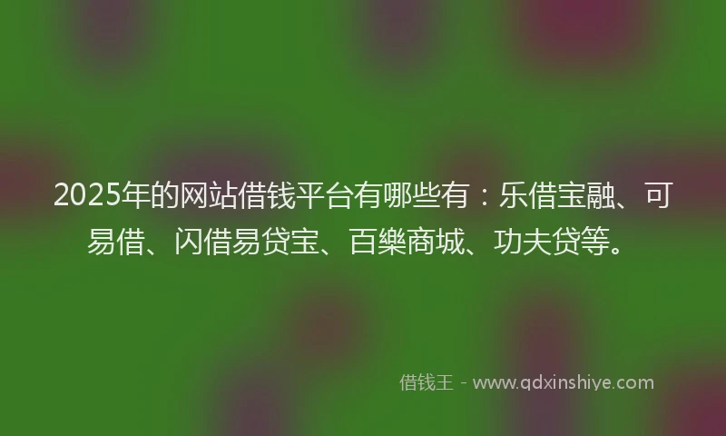 2025年的网站借钱平台有哪些有：乐借宝融、可易借、闪借易贷宝、百樂商城、功夫贷等。