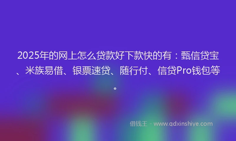 2025年的网上怎么贷款好下款快的有：甄信贷宝、米族易借、银票速贷、随行付、信贷Pro钱包等。
