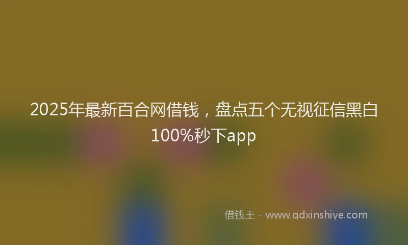 2025年最新百合网借钱，盘点五个无视征信黑白100%秒下app