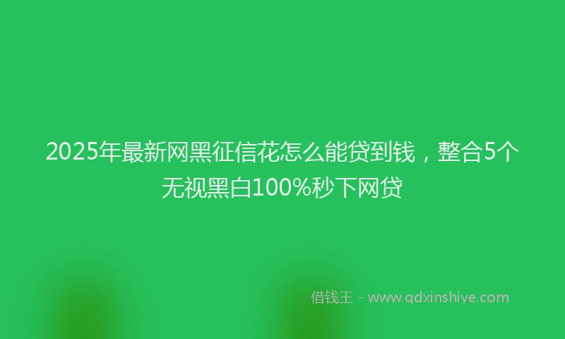 2025年最新网黑征信花怎么能贷到钱，整合5个无视黑白100%秒下网贷