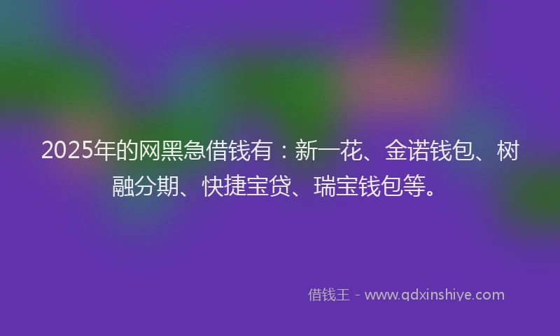 2025年的网黑急借钱有：新一花、金诺钱包、树融分期、快捷宝贷、瑞宝钱包等。