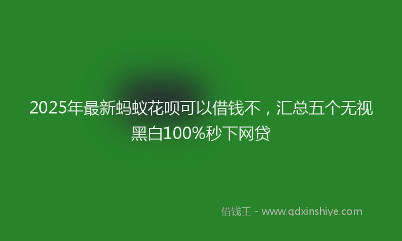 2025年最新蚂蚁花呗可以借钱不，汇总五个无视黑白100%秒下网贷
