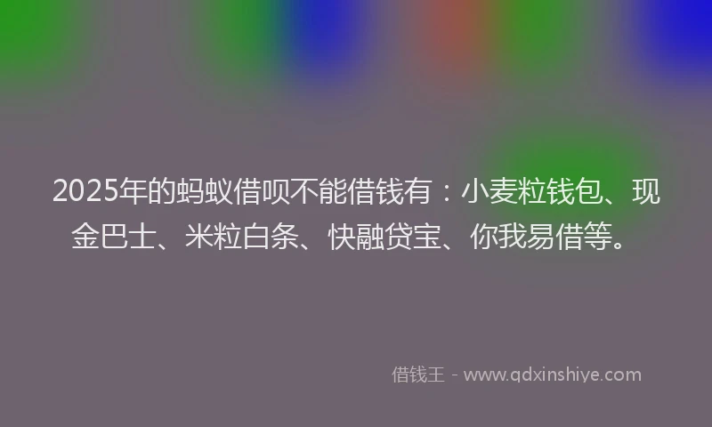 2025年的蚂蚁借呗不能借钱有：小麦粒钱包、现金巴士、米粒白条、快融贷宝、你我易借等。