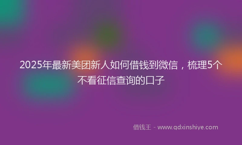 2025年最新美团新人如何借钱到微信，梳理5个不看征信查询的口子
