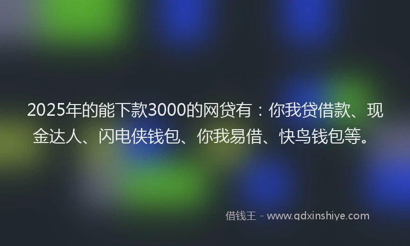 2025年的能下款3000的网贷有：你我贷借款、现金达人、闪电侠钱包、你我易借、快鸟钱包等。