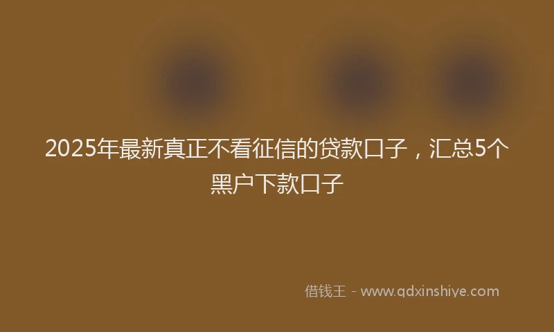 2025年最新真正不看征信的贷款口子，汇总5个黑户下款口子