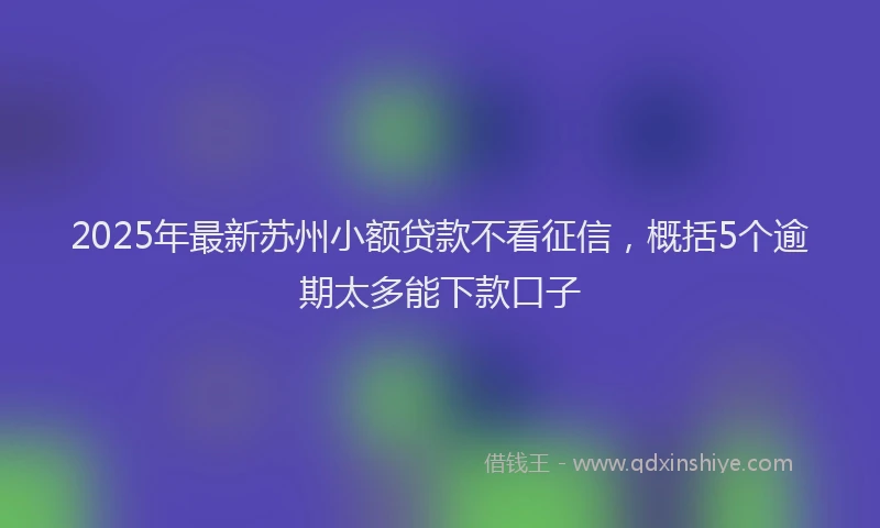 2025年最新苏州小额贷款不看征信，概括5个逾期太多能下款口子