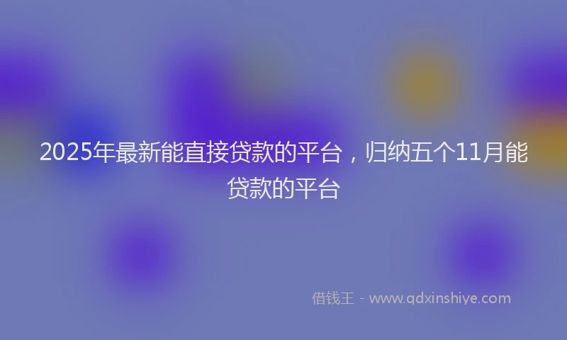 2025年最新能直接贷款的平台，归纳五个11月能贷款的平台