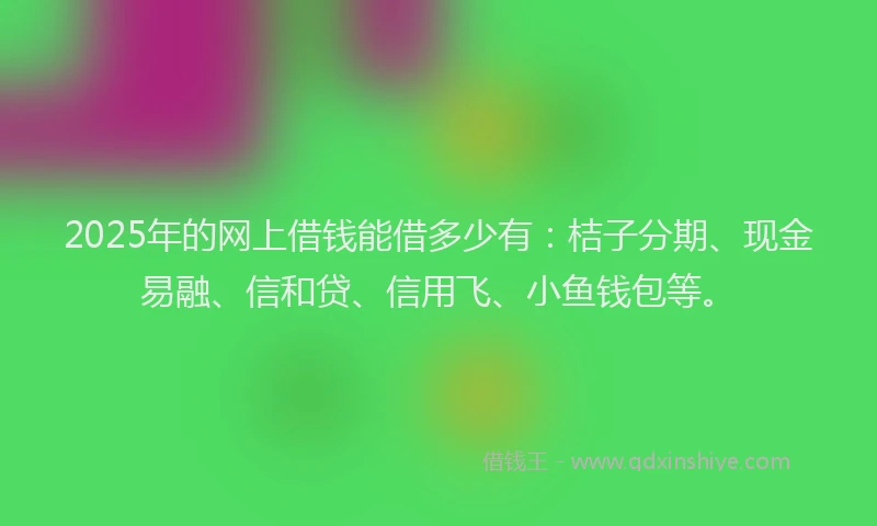 2025年的网上借钱能借多少有：桔子分期、现金易融、信和贷、信用飞、小鱼钱包等。
