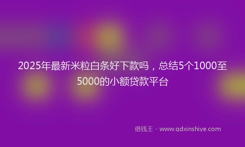 2025年最新米粒白条好下款吗，总结5个1000至5000的小额贷款平台