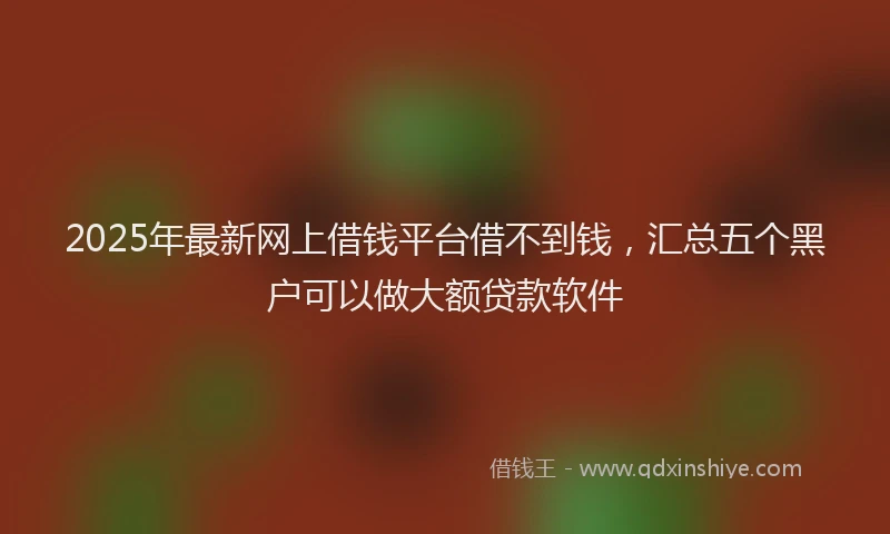 2025年最新网上借钱平台借不到钱，汇总五个黑户可以做大额贷款软件