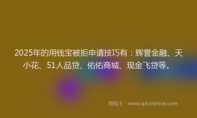 2025年的用钱宝被拒申请技巧有：辉誉金融、天小花、51人品贷、佑佑商城、现金飞贷等。