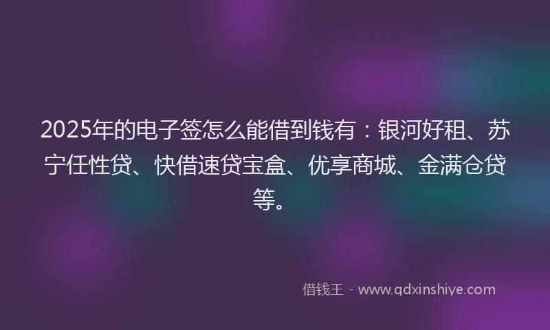 2025年的电子签怎么能借到钱有：银河好租、苏宁任性贷、快借速贷宝盒、优享商城、金满仓贷等。