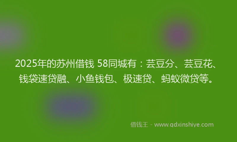 2025年的苏州借钱 58同城有：芸豆分、芸豆花、钱袋速贷融、小鱼钱包、极速贷、蚂蚁微贷等。