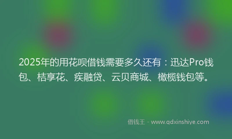 2025年的用花呗借钱需要多久还有：迅达Pro钱包、桔享花、疾融贷、云贝商城、橄榄钱包等。