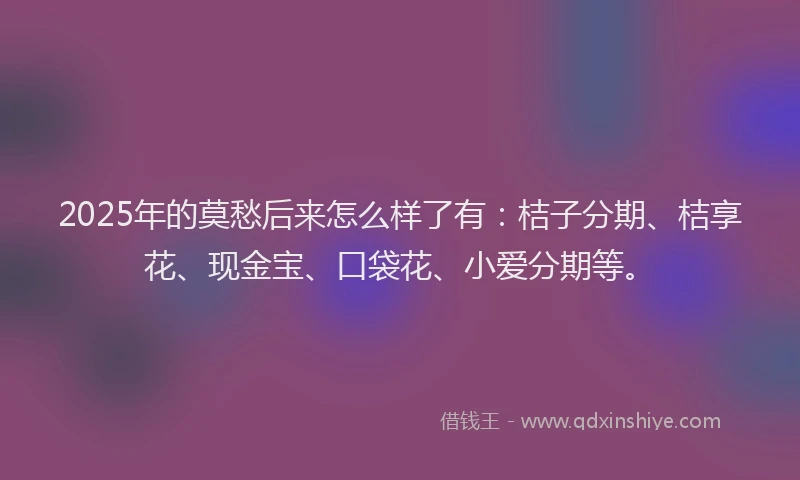 2025年的莫愁后来怎么样了有：桔子分期、桔享花、现金宝、口袋花、小爱分期等。