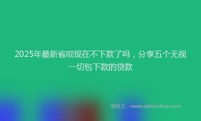 2025年最新省呗现在不下款了吗，分享五个无视一切包下款的贷款