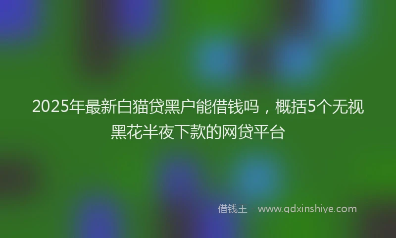 2025年最新白猫贷黑户能借钱吗，概括5个无视黑花半夜下款的网贷平台