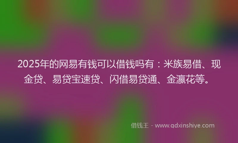 2025年的网易有钱可以借钱吗有：米族易借、现金贷、易贷宝速贷、闪借易贷通、金瀛花等。