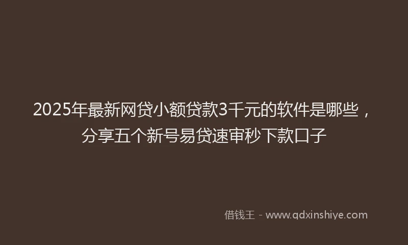 2025年最新网贷小额贷款3千元的软件是哪些，分享五个新号易贷速审秒下款口子