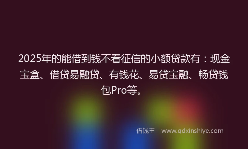 2025年的能借到钱不看征信的小额贷款有：现金宝盒、借贷易融贷、有钱花、易贷宝融、畅贷钱包Pro等。