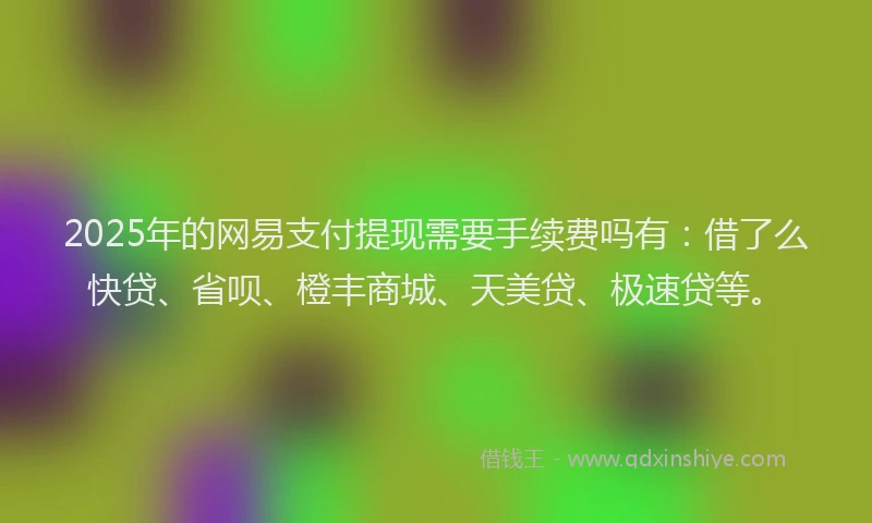 2025年的网易支付提现需要手续费吗有：借了么快贷、省呗、橙丰商城、天美贷、极速贷等。