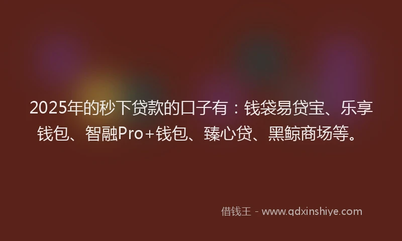 2025年的秒下贷款的口子有：钱袋易贷宝、乐享钱包、智融Pro+钱包、臻心贷、黑鲸商场等。