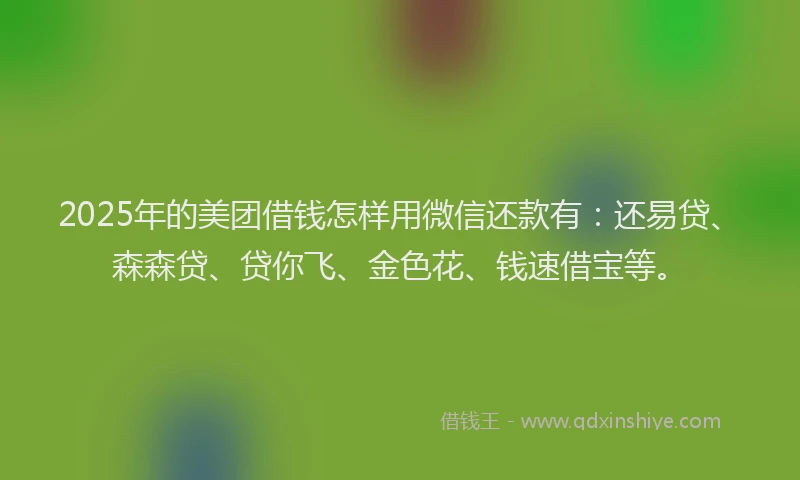 2025年的美团借钱怎样用微信还款有：还易贷、森森贷、贷你飞、金色花、钱速借宝等。