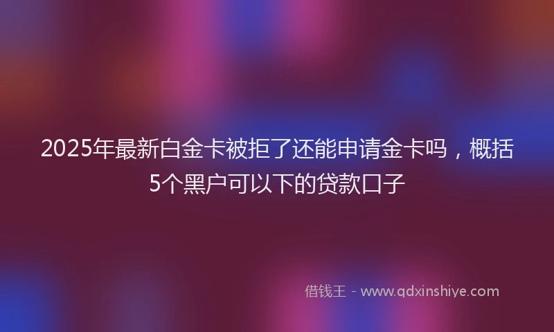 2025年最新白金卡被拒了还能申请金卡吗，概括5个黑户可以下的贷款口子