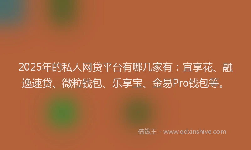 2025年的私人网贷平台有哪几家有：宜享花、融逸速贷、微粒钱包、乐享宝、金易Pro钱包等。