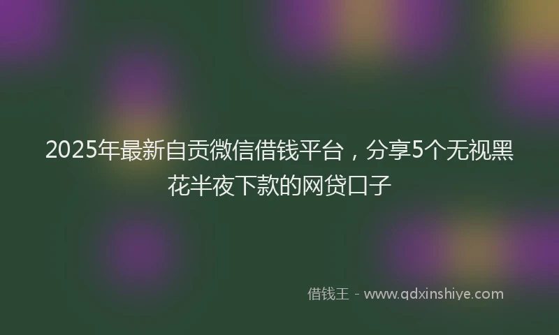 2025年最新自贡微信借钱平台，分享5个无视黑花半夜下款的网贷口子