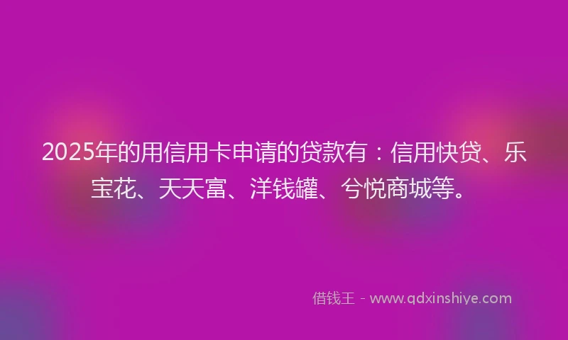 2025年的用信用卡申请的贷款有：信用快贷、乐宝花、天天富、洋钱罐、兮悦商城等。
